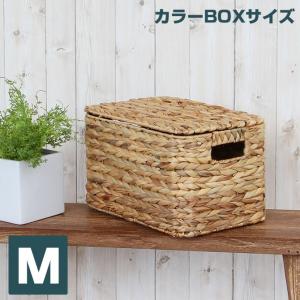 ウォーターヒヤシンス カラーボックス対応 フタ付き 収納 バスケット Mサイズ