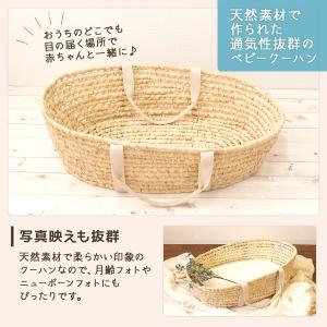 ＼検査済☆ロングセーラー10th/ メイズナチ...の詳細画像4