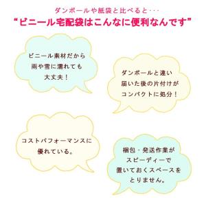 【100枚】宅配ビニール袋 W250×H345...の詳細画像1