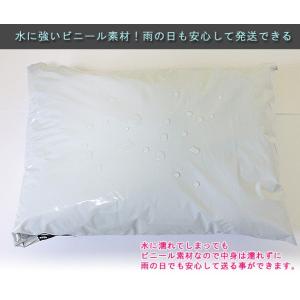 【100枚】宅配ビニール袋 W250×H345...の詳細画像3
