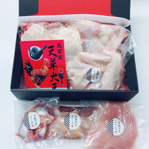 天草大王 一羽丸ごと セット 贈答用 産地直送 グルメ 地鶏 熊本県産 鶏肉 モモ肉 ムネ肉 ササミ...