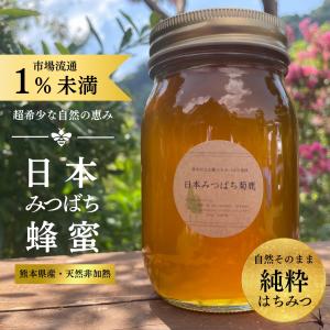 【市場流通1％未満 純粋 日本みつばち菊鹿 405g／600g】 国産蜂蜜 非加熱 純粋 はちみつ 無添加 熊本県産 希少蜜 1年に1度のみの採蜜 ギフト 贈答用