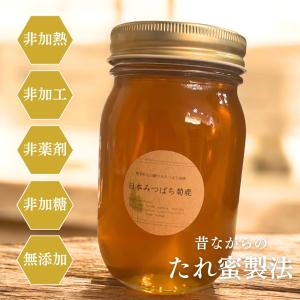 【市場流通1%未満 純粋 日本みつばち菊鹿 4...の詳細画像1