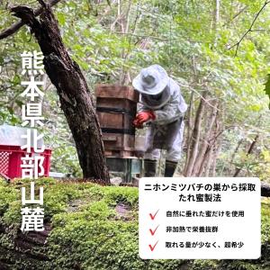 【市場流通1%未満 純粋 日本みつばち菊鹿 4...の詳細画像2