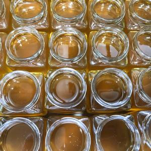 【市場流通1%未満 純粋 日本みつばち菊鹿 4...の詳細画像5