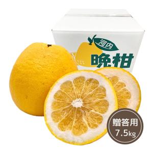 河内 晩柑 贈答用 7.5kg 熊本県河内産 有明海 柑橘 フルーツ ギフト 内祝 お彼岸