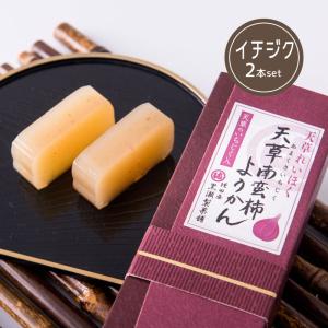 無花果 (イチジク) ようかん 2本入り 熊本天草 和菓子 南蛮柿 天草謹製認定品 お土産 ふるさと 懐かしの味 お彼岸 ギフト｜mercato-kumamoto