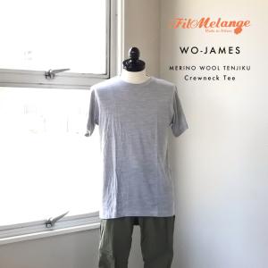 Tシャツ FilMelange WO-JAMES / ジェームス ウール メリノウール フィルメランジェ インナー クルーネック ウール  天然素材｜mercato-y