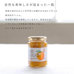無添加 伊予柑 マーマレード ジャム 160g...の詳細画像2