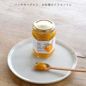 無添加 伊予柑 マーマレード ジャム 160g...の詳細画像3
