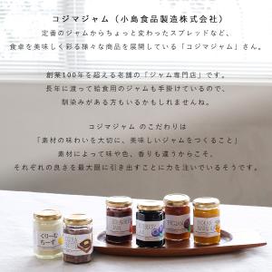 無添加 伊予柑 マーマレード ジャム 160g...の詳細画像5