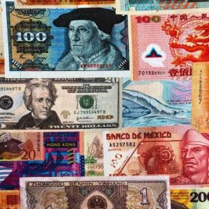 USAコットン Money Currency(世界の紙幣)シーチング生地 Robert Kaufman(ロバートカフマン)19645-205