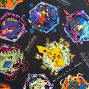 ポケモン ポケットモンスター バトル柄 オックス生地ファブリック デジタルプリント グレー(POKEMON ピカチュウ キャラクター 入園入学通園通学 手作り)