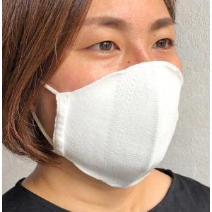ひんやり冷感立体マスク 抗菌防臭 布マスク 日...の詳細画像1