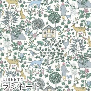 LIBERTYリバティプリント 国産つや消しラミネート生地＜Symbols＞(シンボルズ)【ブルーグレー】MATLAMI-DC32256-J22F《メルシー創業70周年記念柄》