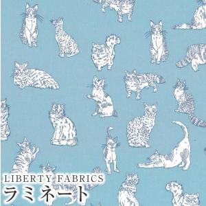LIBERTY FABRICS リバティプリント 国産つや消しラミネート(ビニールコーティング生地)<br>＜Meow＞(ミャオウ)【ブルーグレー】MATLAMI-DC32576ZE