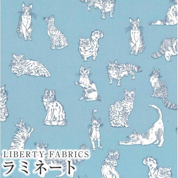 LIBERTY FABRICS リバティプリント 国産つや消しラミネート(ビニールコーティング生地)...