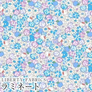 リバティ・ファブリックス ラミネート Hello Kitty Necessities ハロー
