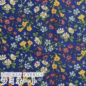 LIBERTY.（リバティ） LIBERTYリバティプリント 国産つや消し
