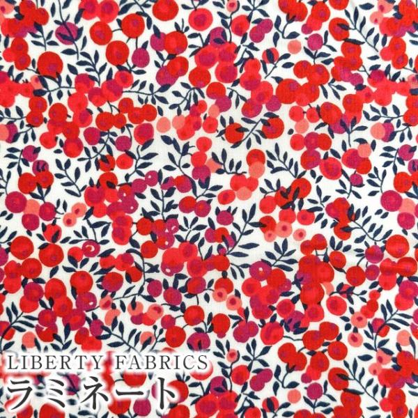 LIBERTYリバティプリント・つや消しラミネート(ビニールコーティング生地)Wilt Shire(...