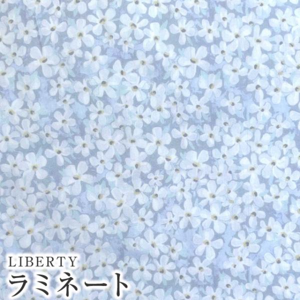 LIBERTYリバティプリント 国産つや消しラミネート＜Petal Wish＞(ペタルウィッシュ)【...