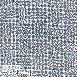 LIBERTY.（リバティ） LIBERTYリバティプリント・国産つや消し