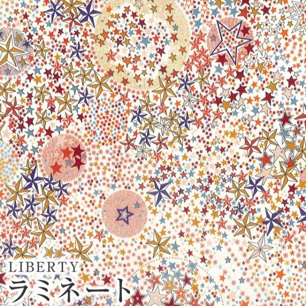 LIBERTYリバティプリント・国産つや消しラミネート【エターナル】＜Adelajda＞(アデラジャ...