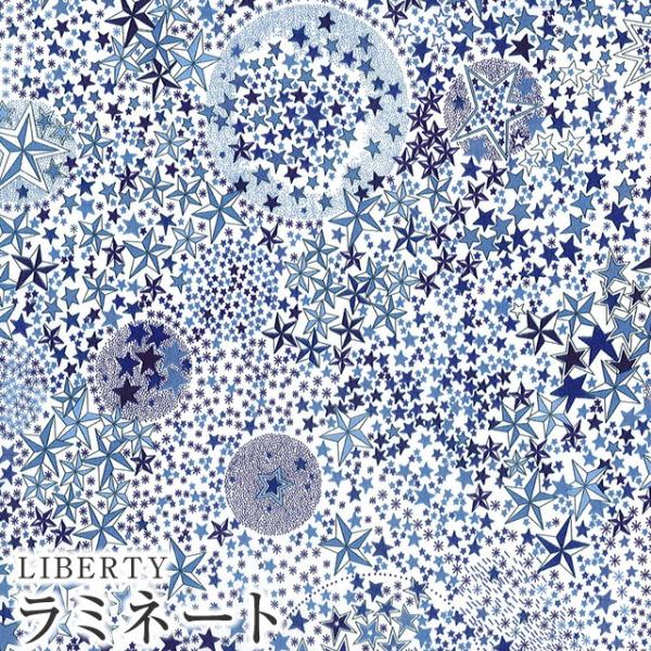 LIBERTYリバティプリント・国産つや消しラミネート【エターナル】＜Adelajda＞(アデラジャ...