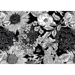 LIBERTYリバティプリント・国産つや消しラミネートSwim Dunclare(スイムダンクレア)【黒】MATLAMI5672151S-TE