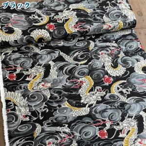サザンクロス生地 ドビー変わり織り ドラゴン龍...の詳細画像2
