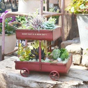 ステップカートプランター AZ-1388 アンティーク風