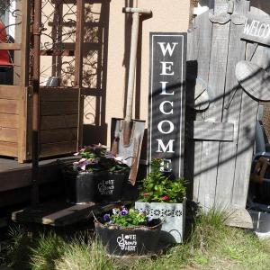 メルシー 花の商品一覧 通販 Yahoo ショッピング