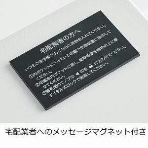 宅配ボックス ムーミン リトルミイ ニョロニョ...の詳細画像4