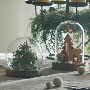 ドーム型 ガラスドーム 容器 インテリア 小物入れ 置物 展示用ガラス
