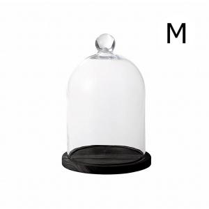 Paseo ドーム型 ガラスドーム 容器 インテリア 小物入れ 置物 展示用