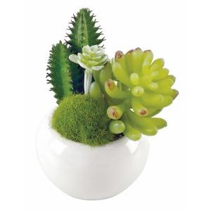 キシマ（KISHIMA） サボテン 造花 鉢植え 消臭 抗菌 防汚 CT触媒