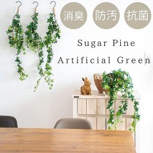 花器 POSH LIVING 花瓶 フラワーベース トウカベース クリア グレー