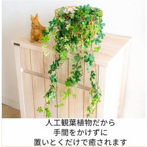 シュガーバイン フック付きタイプ 消臭アーティ...の詳細画像1