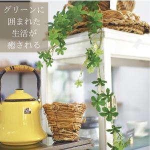 シュガーバイン フック付きタイプ 消臭アーティ...の詳細画像4