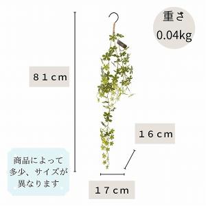 シュガーバイン フック付きタイプ 消臭アーティ...の詳細画像5