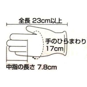 【食品衛生法適合】ニトリル手袋 エコブルー パ...の詳細画像2