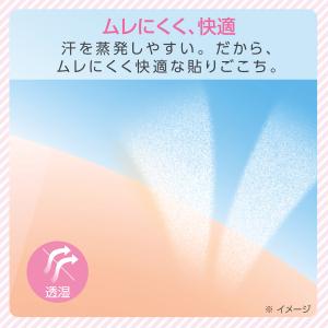 skinix エアウォールふわり 100mm×...の詳細画像5