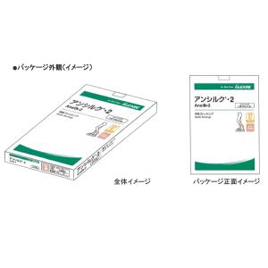 アンシルク 2 ブライト パンティーストッキン...の詳細画像1