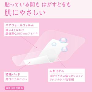 skinix エアウォールふわりパッド 60×...の詳細画像1