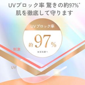 filmor(フィルモア) UV ブロック フ...の詳細画像2