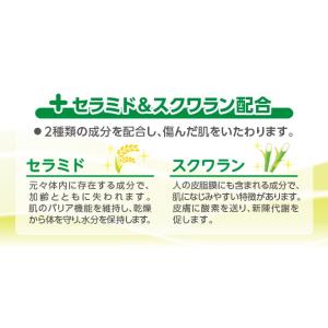 オリーブオイルのおしりふき 60枚入り 18x...の詳細画像1