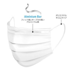 プロレーンマスク LEVEL-2 ホワイト P...の詳細画像1