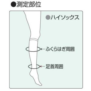 アンシルク プロJ キープケア ハイソックス ...の詳細画像2