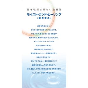 デュオアクティブET 10cmx10cm 10...の詳細画像3