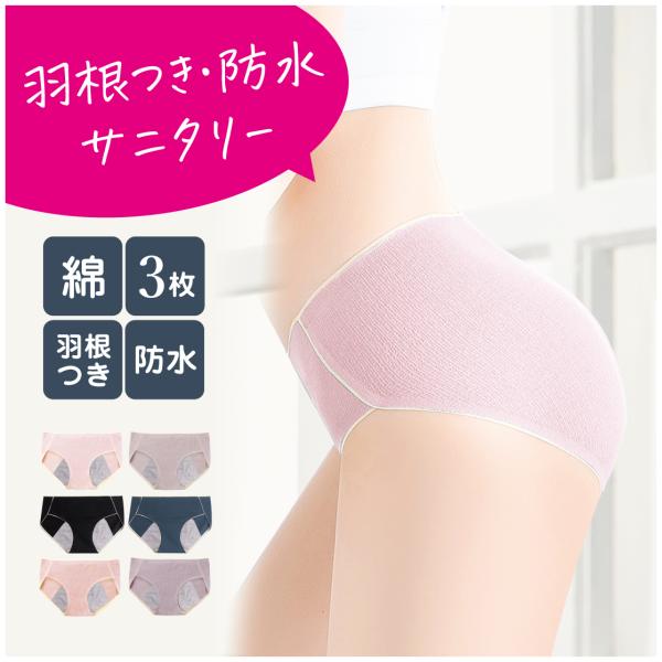 [3枚セット]サニタリーショーツ シームレス 羽根つき対応 下着 パンツ レディース